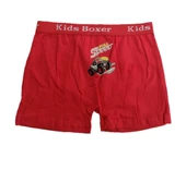 Sedef Yıldız Erkek Çocuk Likralı Boxer 1089 - 1