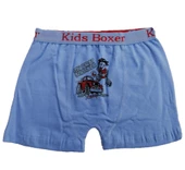 Sedef Yıldız Erkek Çocuk Likralı Boxer 1089 - 4
