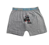 Sedef Yıldız Erkek Çocuk Likralı Boxer 1089 - 5
