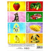 Nessiworld İlk 50 Sözcük Eğitici Flash Kart Oyunu - 2