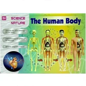 Nessiworld  The Human Body İnsan Vücudu 3D Eğitim Seti 3302 thumbnail 5