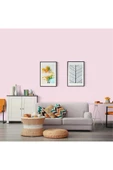 Polisan Q1 Lux Plastik -Sınırsız Renk 2.5 lt - 6