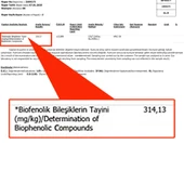 Yüksek Polifenollü Zeytinyağı 300+ Plus 2 L - 2