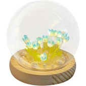 LED Işıklı Kendin Yap Lale Cam Küre thumbnail 1