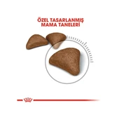 Royal Canin Hairball Tüy Yumağı Kontrolü İçin Kedi Maması 2 KG - 6