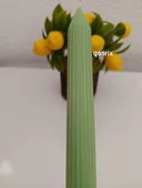 qosrix Açık Yeşil Şamdan Soya Mumu 1. Kalite Doğal Vanilya Kokulu Uzun Çubuk Konik Mum Dekoratif 1 Adet thumbnail 2