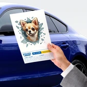 Fulcar Chiuahua Araç Stickerı - 3