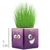 Çim Adam Mini Küp Emoji Figürlü 1 Adet thumbnail 2