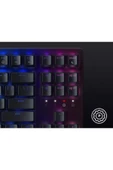 RAZER Blackwidow V3 Tenkeyless Oyuncu Klavyesi - Tr Tuş Dizimi - 5