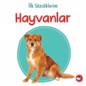 İlk Kitaplığım 15 Kitap ingilizce TÜRKÇE Renkli Resimli Sertsayfa - 3