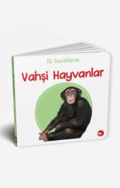 İlk Kitaplığım 15 Kitap ingilizce TÜRKÇE Renkli Resimli Sertsayfa - 4