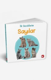 İlk Kitaplığım 15 Kitap ingilizce TÜRKÇE Renkli Resimli Sertsayfa - 5