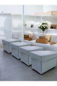 Balkan Room 4 Adet Gri Kapaklı Dolap İçi Düzenleyici Kutu Çok Amaçlı Saklama Kutusu Large 30x20x20 cm - 2