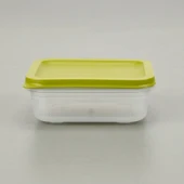 Alfa Derin Dondurucu Saklama Kabı - Asorti - 500 ml - 1