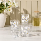 Fiona 4'lü Bardak Seti - Şeffaf - 315 ml - 1