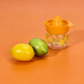 Fresia Desenli Limonluk - Asorti - 300 ml - 2