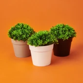 Dekor Saksıda Bitki - Asorti - 12x13 cm - 3