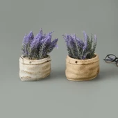 Çuval Saksıda Kır Lavantası - Asorti - 13x9x9 cm - 2