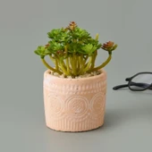 Eskitme Saksılı Sukulent - Asorti - 10x8x8 cm - 2