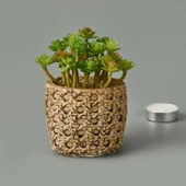 Hasır Efekt Saksıda Sukulent - 7x8x8 cm - 2