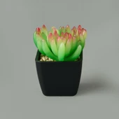 Mini Saksıda Yapay Çiçek - Asorti - 11x5 cm - 1