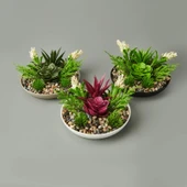 Dekor Aranjman Sukulent - Asorti - 15x10 cm - 3