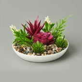 Dekor Aranjman Sukulent - Asorti - 15x10 cm - 1
