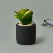 Mini Pot Sukulent - Siyah - 8x6x6 cm - 2