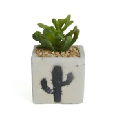 Beton Saksıda Yapay Sukulent - Asorti - 7x10 cm - 1