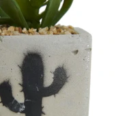 Beton Saksıda Yapay Sukulent - Asorti - 7x10 cm - 3