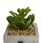 Beton Saksıda Yapay Sukulent - Asorti - 7x10 cm - 2