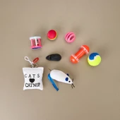 8'li Kedi Oyuncağı - Asorti - 2