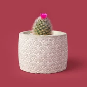 Işık Desen Beton Saksı - Bej - 10x13 cm - 2