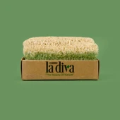 Diva Aloe Vera Kabak Lifli Sabun - Yeşil - 130 gr - 1