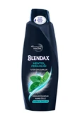 Blendax Şampuan 500 ml Erkek Mentol - 2