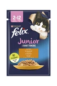 Felix Pouch Yavru Tavuk Etli 85g - 1