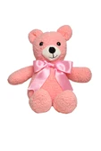 Mellito Toyzz Teddy 35 Cm Uyku Arkadaşı Ayıcık - 1