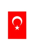 Ayyıldız Türk Bayrak 70x105 cm - 2