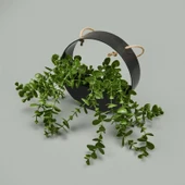 Dekor Yapay Okaliptus - Asorti - 50x20 cm thumbnail 2