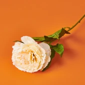 Şakayık Yapay Çiçek - Krem - 70 cm - 3