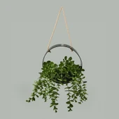 Dekor Yapay Okaliptus - Asorti - 50x20 cm thumbnail 1