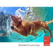 500 Metre Menzilli Mavi Elektrikli Şoklu Su Geçirmez Köpek Eğitim Tasma Kumandalı Havlama Önleyici - 6