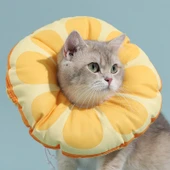 Kedi Elizabeth Yaka Kedi Yavrusu Tırmalamayı Önleyici Turuncu S Beden - 1