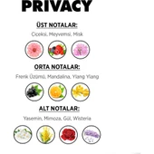 Privacy Edt+Deo 100Ml Kofre Bayan - 4
