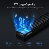 ORICO M2PV-C3 M2 NVMe SSD Kutu Siyah Alüminyum USB3.1 Gen2 Type-C - 8