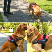 Köpek Göğüs Tasması K9 Anti Sprint Oxford Kumaş Kırmızı Large 23-30kg - 7