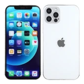 iPhone 12 Pro Max Sahte Gösterim Modeli Renkli Ekran Gri - 2