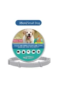 Bosile Kedi-Köpek Anti Pire Kene Önleyici Tasma- 38 Cm Pire Önleyici Tasma-Kene Önleyici Tasma - 7