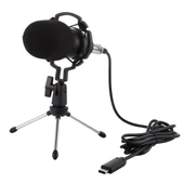 BM700 USB Profesyonel Kondansatör Mikrofon - 2