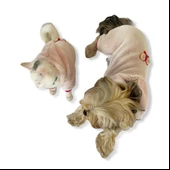 Softie Butterfly Pembe Duo Köpek Tulumu Köpek Kıyafeti - 7